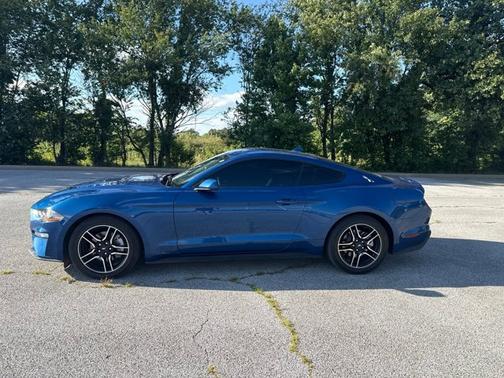 Blue Metallic 2023 Ford Mustang EcoBoost