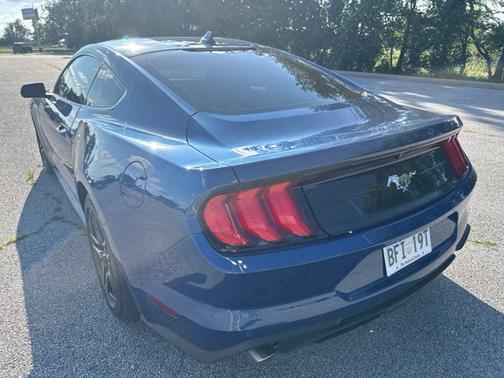 Blue Metallic 2023 Ford Mustang EcoBoost