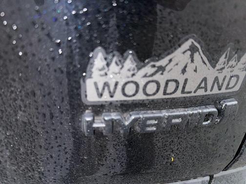 2023 Toyota RAV4 Hybrid Woodland Edition
