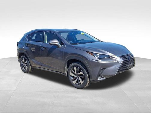 Nebula Gray Pearl 2019 Lexus NX 300h Base