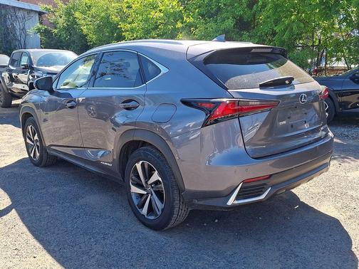 Nebula Gray Pearl 2019 Lexus NX 300h Base