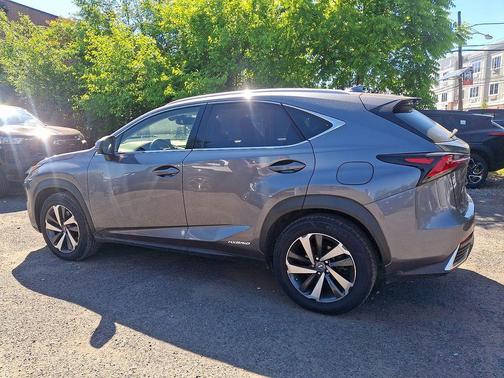 Nebula Gray Pearl 2019 Lexus NX 300h Base