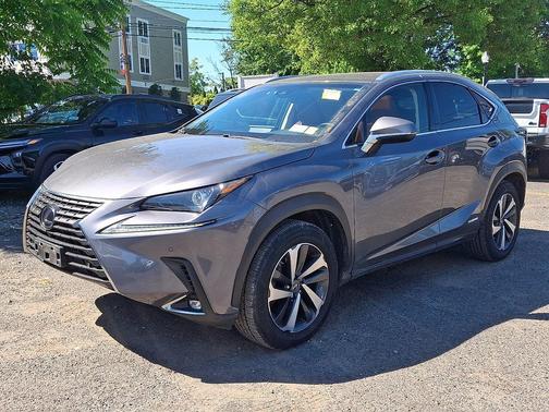 Nebula Gray Pearl 2019 Lexus NX 300h Base