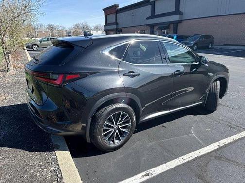 2024 Lexus NX 350h Base
