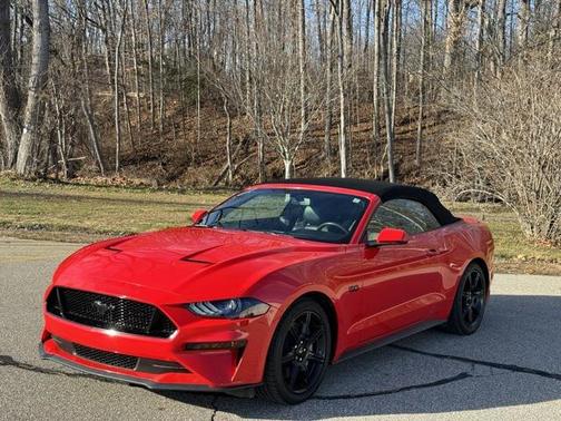 2019 Ford Mustang GT Premium