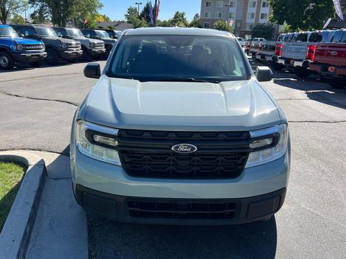 Cactus 2024 Ford Maverick XL