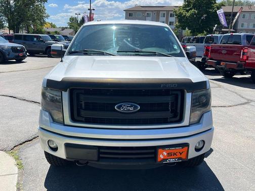 Ingot Silver 2013 Ford F-150 FX4