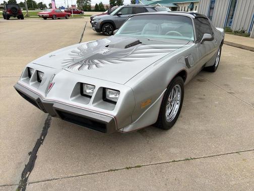 Gray 1979 Pontiac Firebird Trans Am