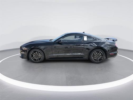 2023 Ford Mustang 
