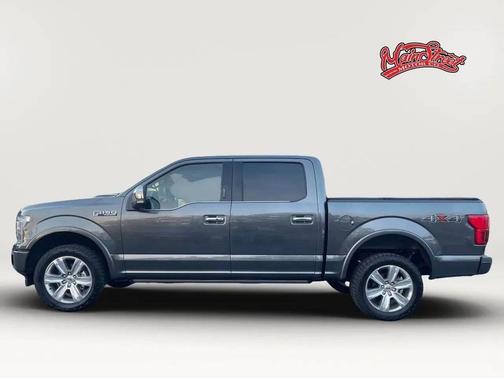 Magnetic Metallic 2019 Ford F-150 Platinum