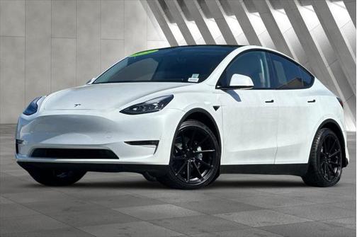 2020 Tesla Model Y Performance Dual Motor All-Wheel Drive