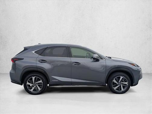 Nebula Gray Pearl 2020 Lexus NX 300h Base
