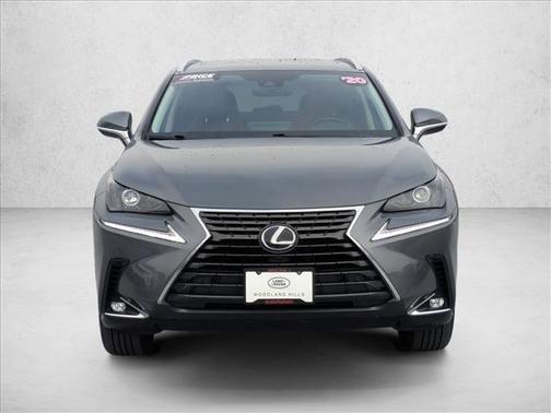 Nebula Gray Pearl 2020 Lexus NX 300h Base