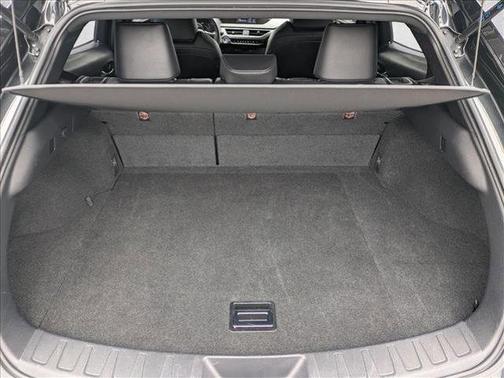 Caviar 2020 Lexus UX 250h Base