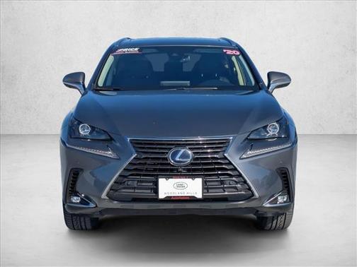 Nebula Gray Pearl 2020 Lexus NX 300h Base