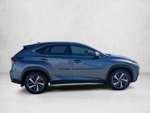 Nebula Gray Pearl 2020 Lexus NX 300h Base