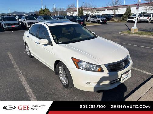 White 2008 Honda Accord EX-L