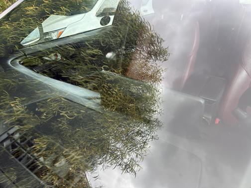 2021 Mazda CX-9 Carbon Edition