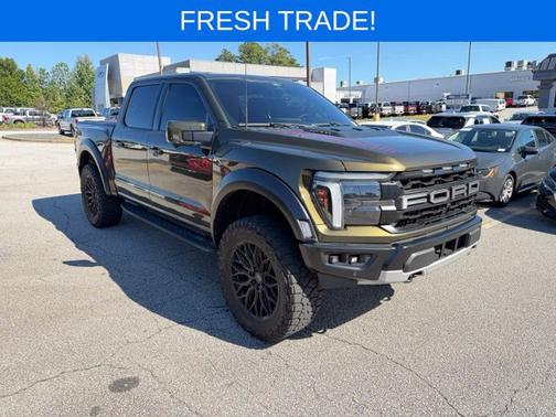 SHELTER GREEN 2024 Ford F-150 RAPTOR