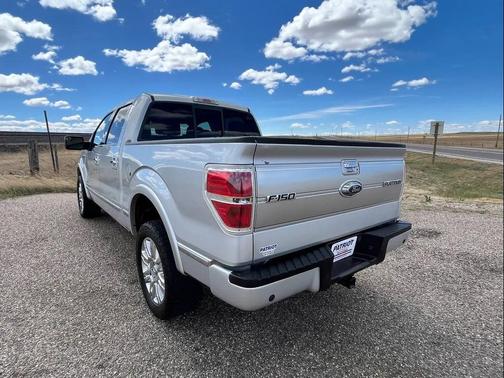 Ingot Silver Metallic 2013 Ford F-150 Platinum