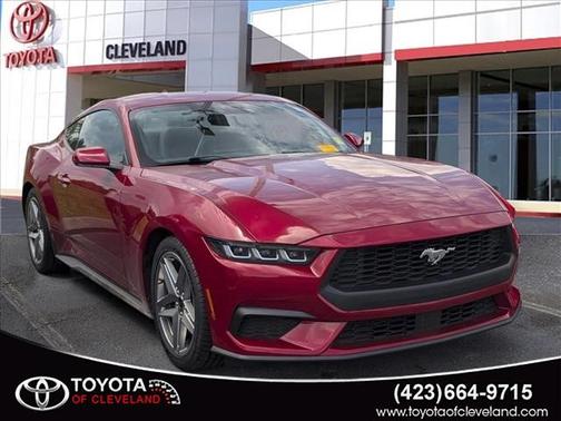 Rapid Red Metallic Tinted Clearcoat 2024 Ford Mustang EcoBoost Premium