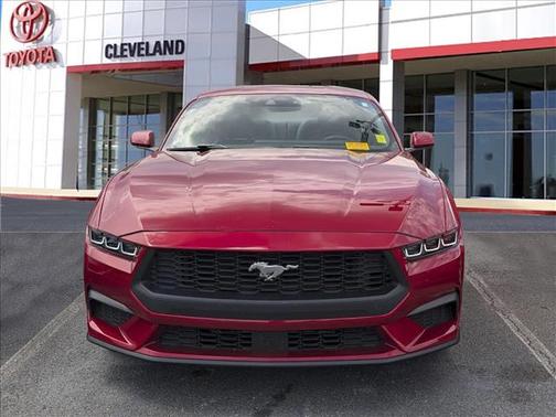 Rapid Red Metallic Tinted Clearcoat 2024 Ford Mustang EcoBoost Premium
