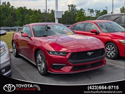 Rapid Red Metallic Tinted Clearcoat 2024 Ford Mustang EcoBoost Premium