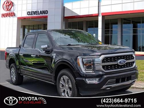 Agate Black 2021 Ford F-150 Platinum