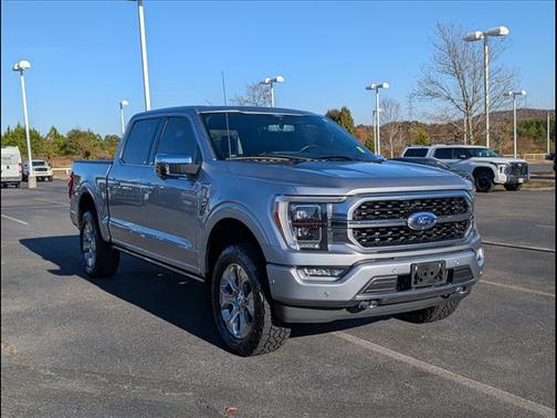 2021 Ford F-150 Platinum