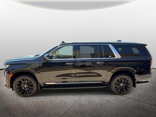 Black Raven 2024 Cadillac Escalade ESV Premium Luxury