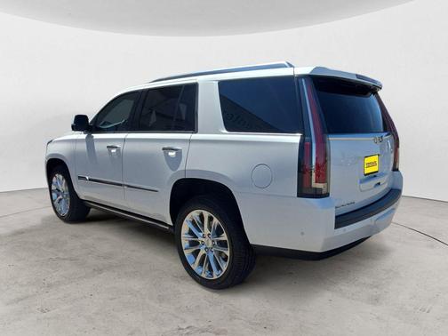 Crystal White Tricoat 2020 Cadillac Escalade Platinum