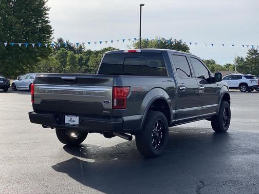 Magnetic Metallic 2020 Ford F-150 Platinum