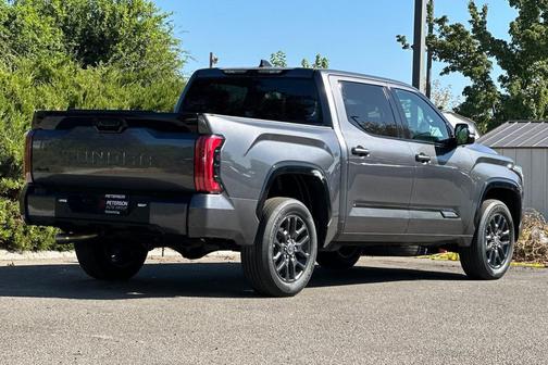 2022 Toyota Tundra Platinum