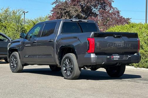2022 Toyota Tundra Platinum