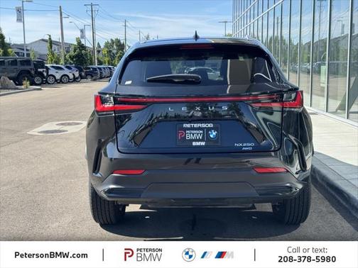 2023 Lexus NX 250 Base