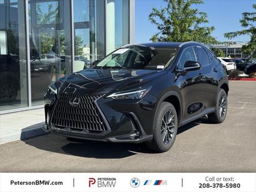 2023 Lexus NX 250 Base