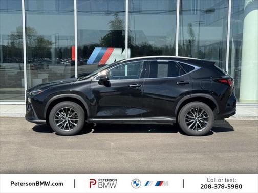 2023 Lexus NX 250 Base