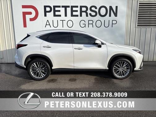 2024 Lexus NX 350 Luxury