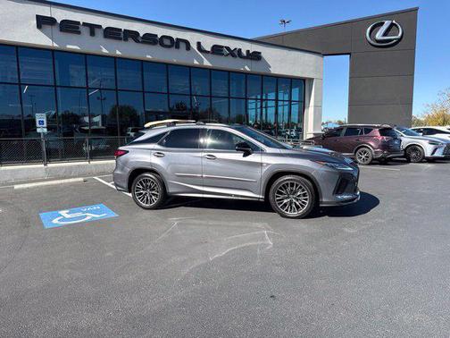Gray Pearl 2020 Lexus RX 350 F SPORT Performance