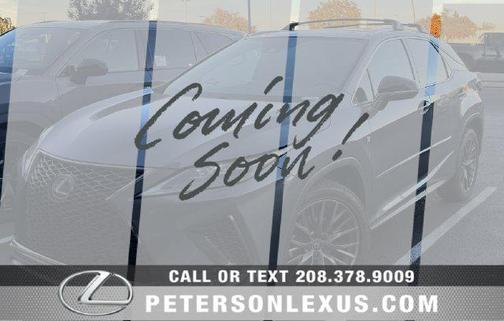 Gray Pearl 2020 Lexus RX 350 F SPORT Performance