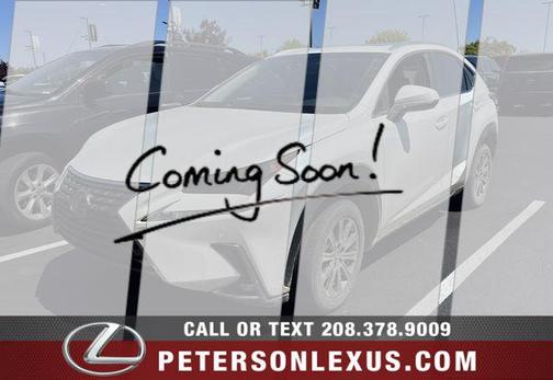 Eminent White Pearl 2019 Lexus NX 300 Base