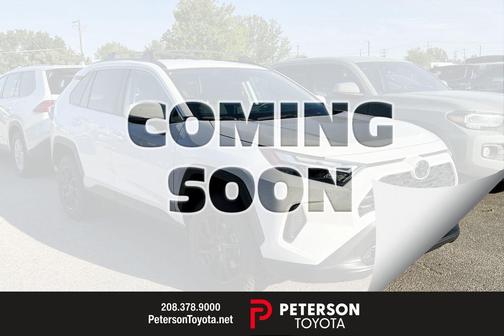 Ice 2024 Toyota RAV4 XLE