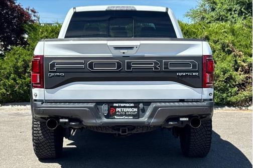 2019 Ford F-150 Raptor