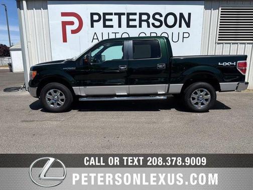 Tuxedo Black Metallic 2013 Ford F-150 XLT