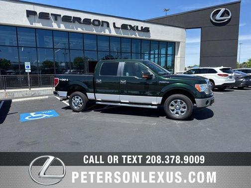 Tuxedo Black Metallic 2013 Ford F-150 XLT