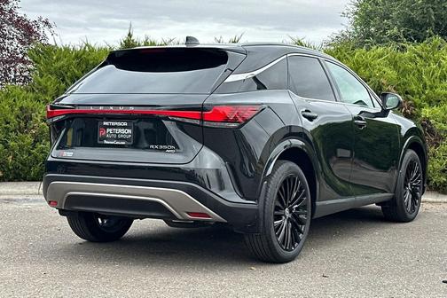 2023 Lexus RX 350 Premium Plus