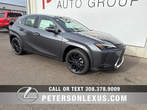 2025 Lexus UX 300h Premium