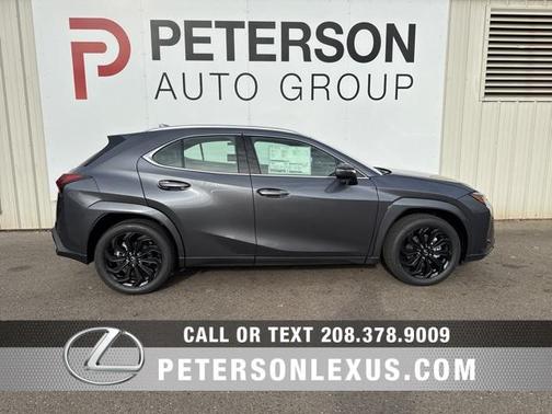 2025 Lexus UX 300h Premium