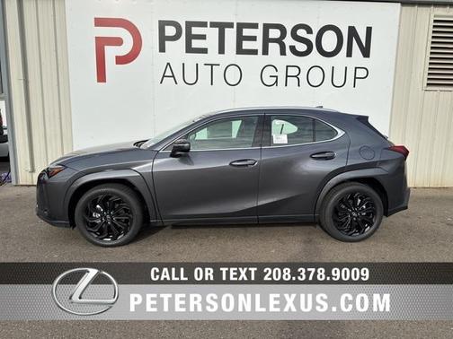 2025 Lexus UX 300h Premium