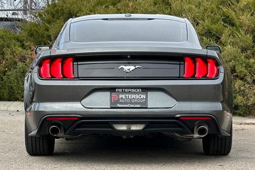 2019 Ford Mustang EcoBoost